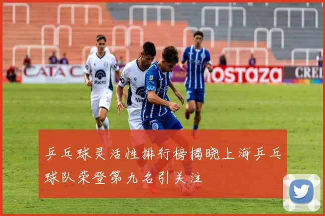 乒乓球灵活性排行榜揭晓上海乒乓球队荣登第九名引关注