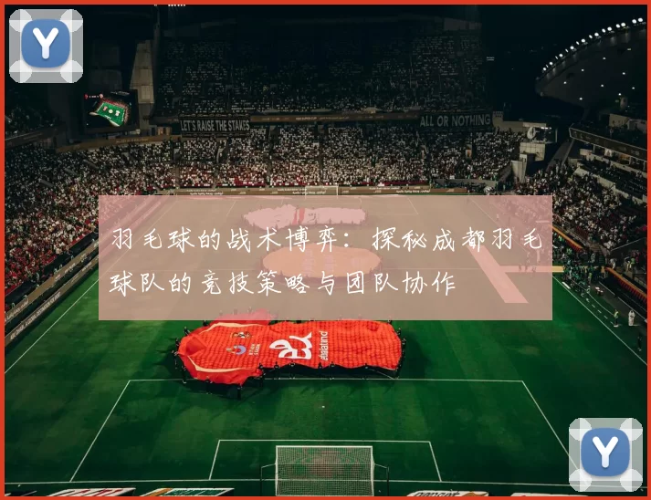 羽毛球的战术博弈：探秘成都羽毛球队的竞技策略与团队协作