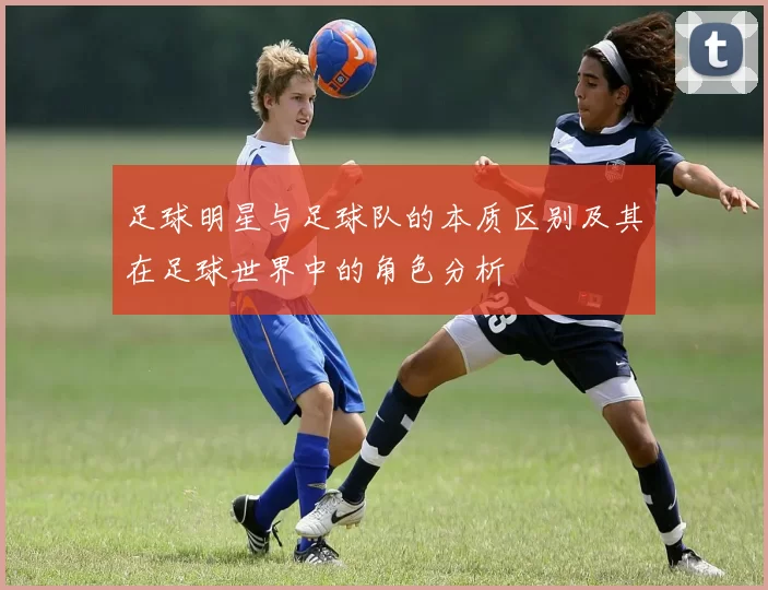 足球明星与足球队的本质区别及其在足球世界中的角色分析
