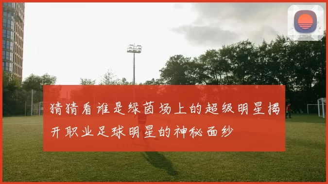 猜猜看谁是绿茵场上的超级明星揭开职业足球明星的神秘面纱