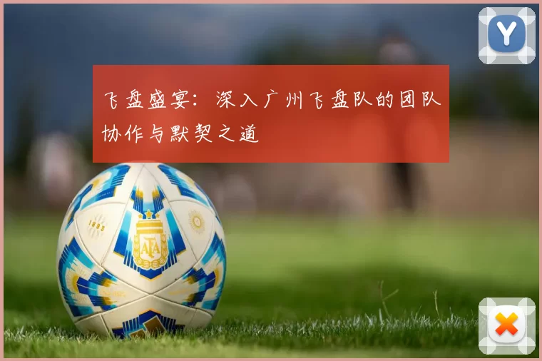 飞盘盛宴：深入广州飞盘队的团队协作与默契之道