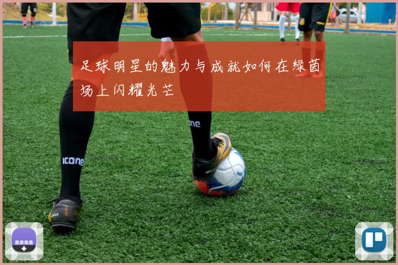 足球明星的魅力与成就如何在绿茵场上闪耀光芒