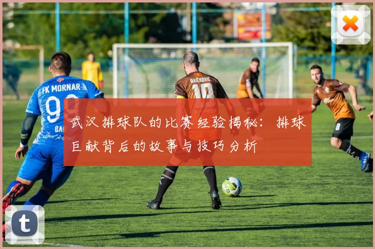 武汉排球队的比赛经验揭秘：排球巨献背后的故事与技巧分析