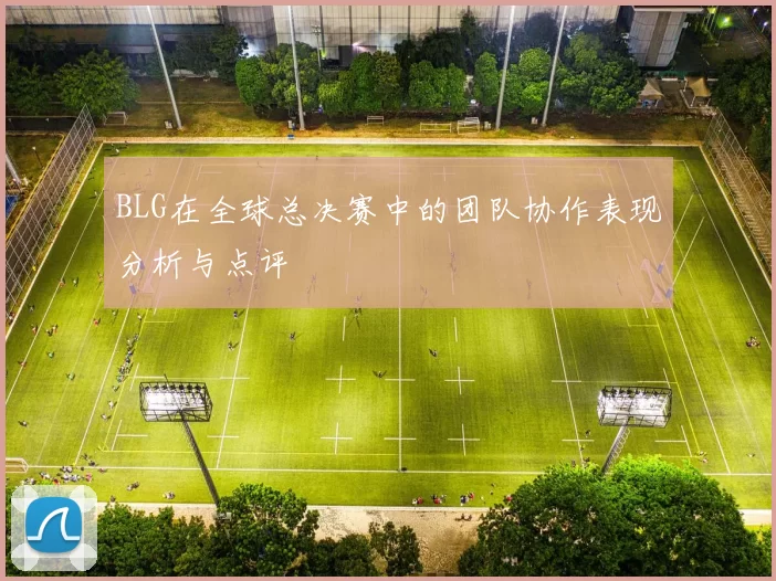 BLG在全球总决赛中的团队协作表现分析与点评