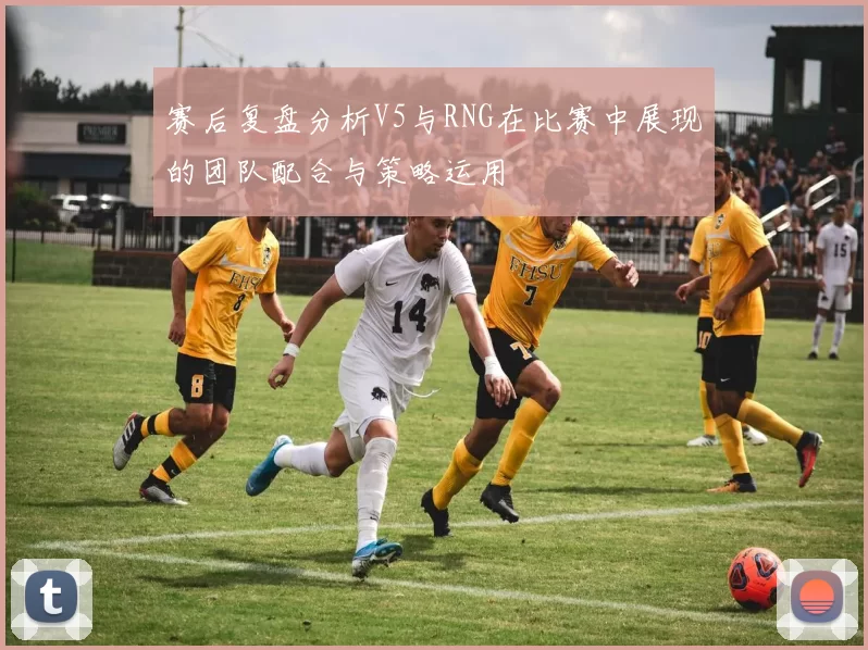 赛后复盘分析V5与RNG在比赛中展现的团队配合与策略运用