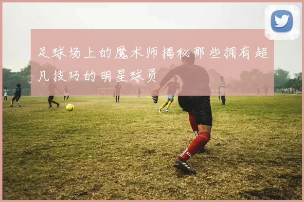 足球场上的魔术师揭秘那些拥有超凡技巧的明星球员
