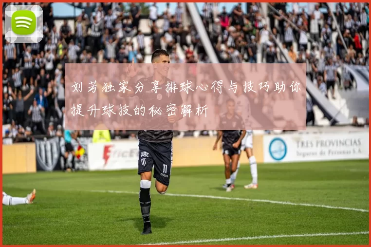 刘芳独家分享排球心得与技巧助你提升球技的秘密解析