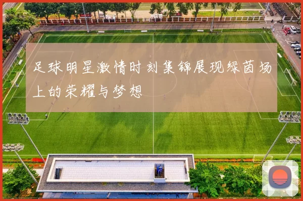 足球明星激情时刻集锦展现绿茵场上的荣耀与梦想