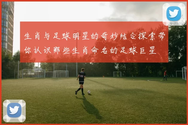 生肖与足球明星的奇妙结合探索带你认识那些生肖命名的足球巨星