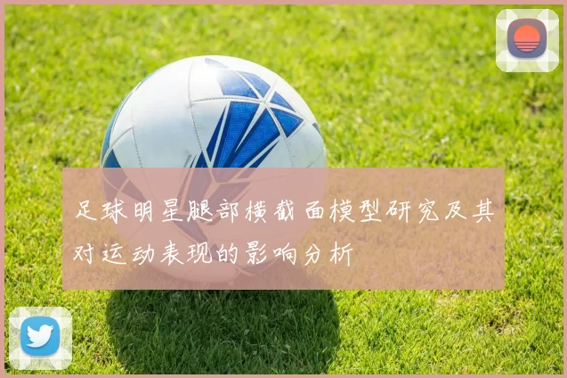 足球明星腿部横截面模型研究及其对运动表现的影响分析