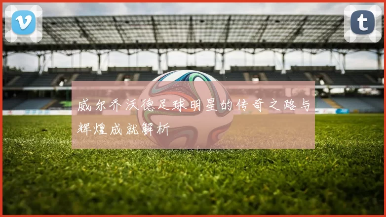 威尔乔沃德足球明星的传奇之路与辉煌成就解析