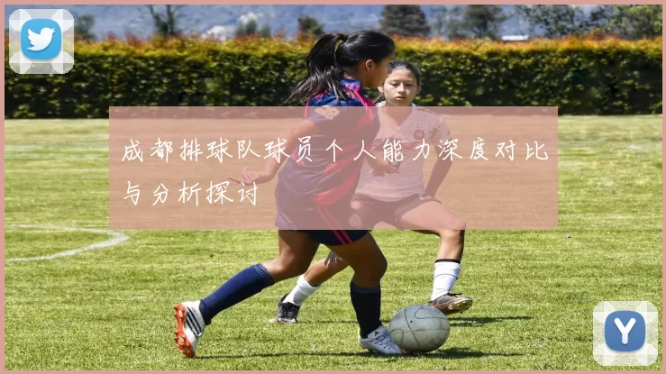 成都排球队球员个人能力深度对比与分析探讨