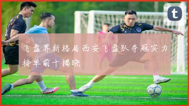 飞盘界新格局西安飞盘队夺冠实力榜单前十揭晓