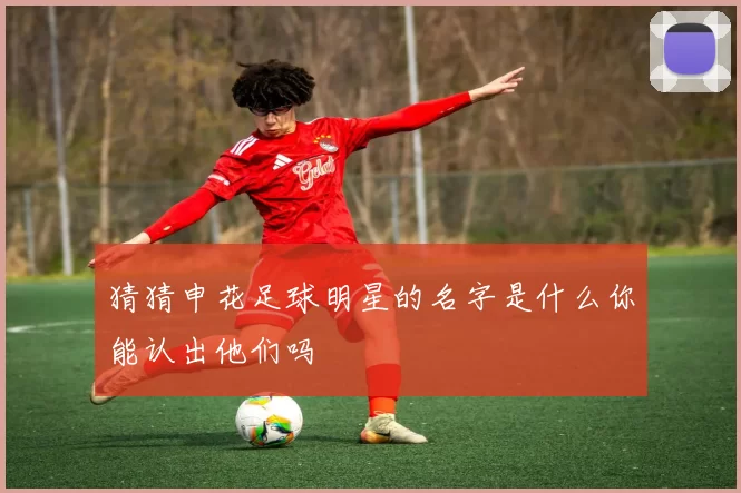 猜猜申花足球明星的名字是什么你能认出他们吗