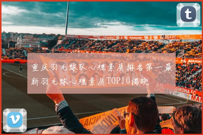 重庆羽毛球队心理素质排名第一最新羽毛球心理素质TOP10揭晓