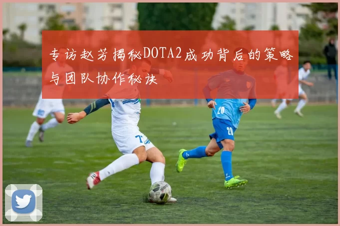 专访赵芳揭秘DOTA2成功背后的策略与团队协作秘诀