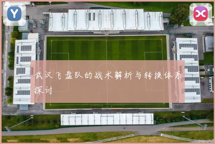 武汉飞盘队的战术解析与转换体系探讨