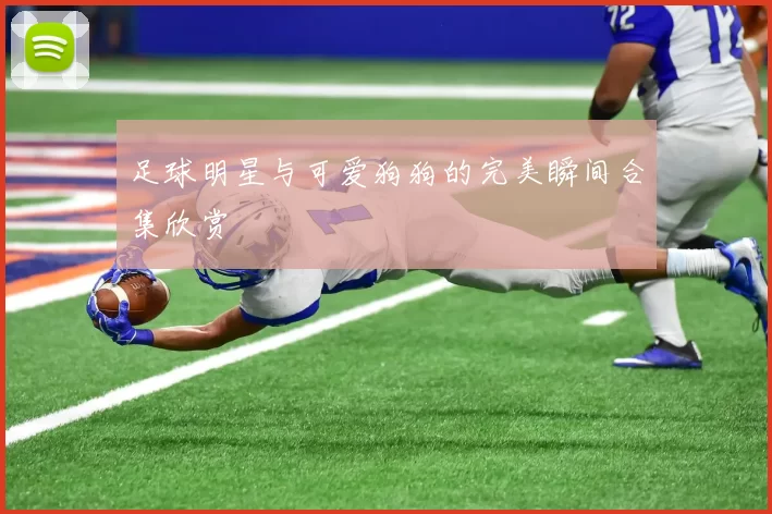 足球明星与可爱狗狗的完美瞬间合集欣赏