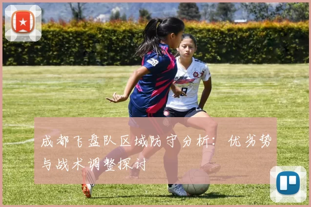 成都飞盘队区域防守分析：优劣势与战术调整探讨