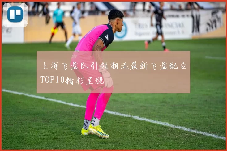 上海飞盘队引领潮流最新飞盘配合TOP10精彩呈现