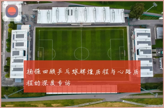 杨强回顾乒乓球辉煌历程与心路历程的深度专访