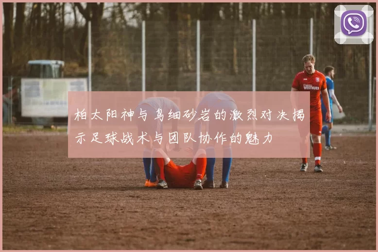 柏太阳神与鸟细砂岩的激烈对决揭示足球战术与团队协作的魅力