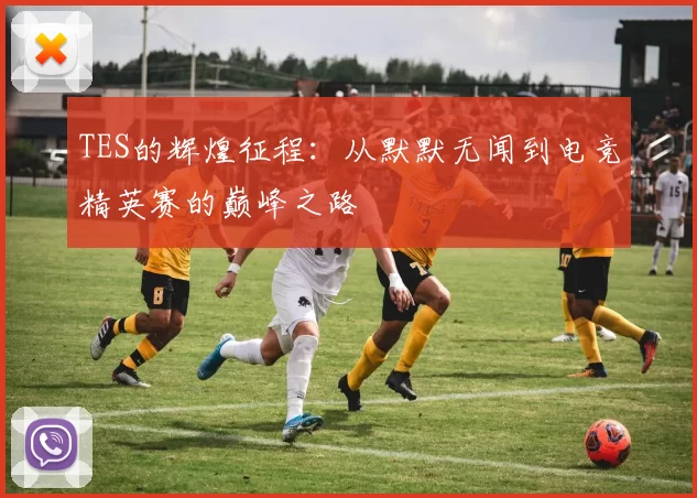 TES的辉煌征程：从默默无闻到电竞精英赛的巅峰之路