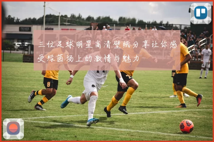三位足球明星高清壁纸分享让你感受绿茵场上的激情与魅力