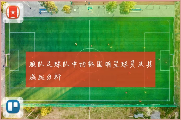 狼队足球队中的韩国明星球员及其成就分析