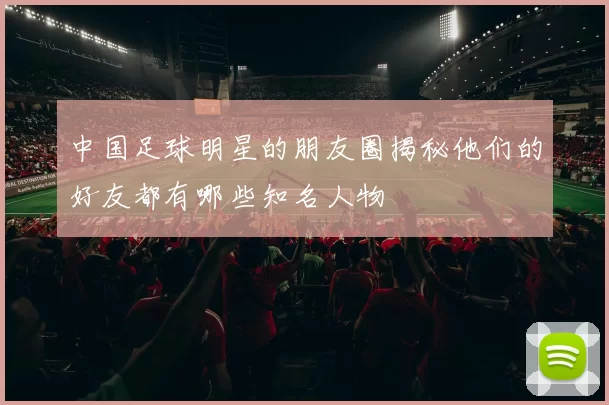 中国足球明星的朋友圈揭秘他们的好友都有哪些知名人物