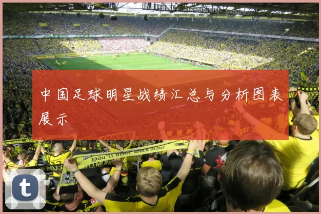 中国足球明星战绩汇总与分析图表展示