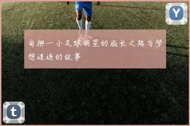 甸柳一小足球明星的成长之路与梦想追逐的故事