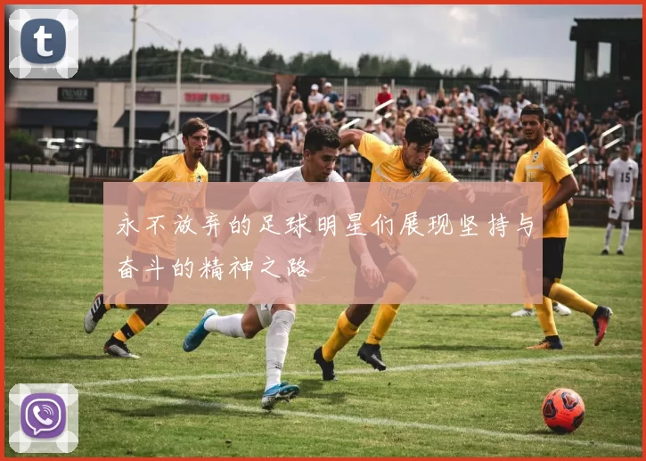 永不放弃的足球明星们展现坚持与奋斗的精神之路