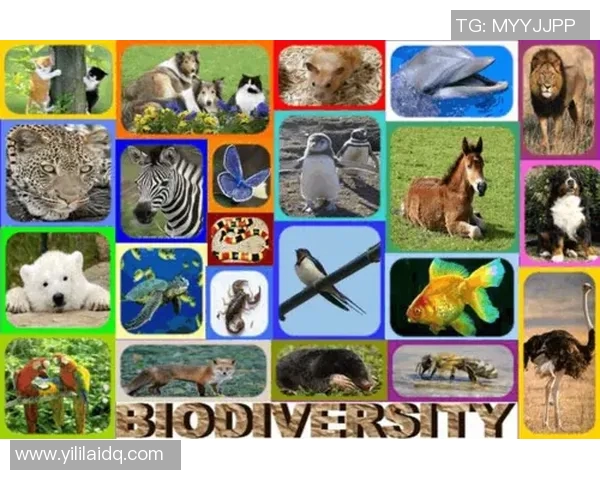 果园四季变换与生态可持续发展探讨：从栽培技术到环境保护的全方位分析